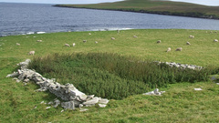 The remains of the Broch of Cullingsburgh.