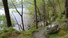 A section of the West Highland Way through Craigrostan Woods following close to the shore of Loch Lomond.