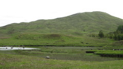 A reedy lochan on Rannoch Moor, passed by walkers on the West Highland Way National Trail.